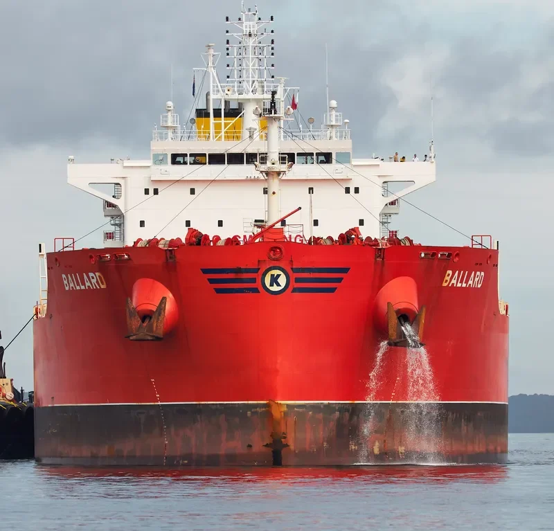 BALLARD Bulk Carrier IMO 9729738 photo 8
