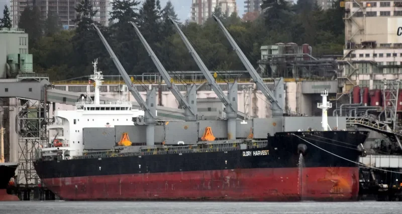 GLORY HARVEST Bulk Carrier IMO 9729831