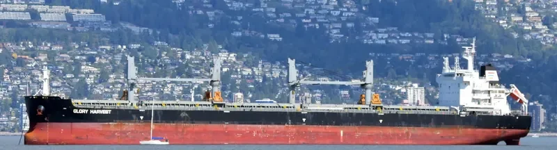 GLORY HARVEST Bulk Carrier IMO 9729831 photo 2