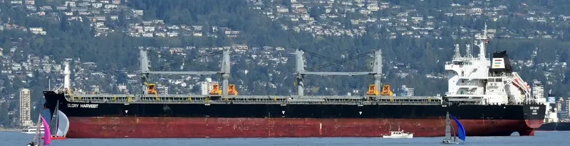 GLORY HARVEST Bulk Carrier IMO 9729831 photo 3