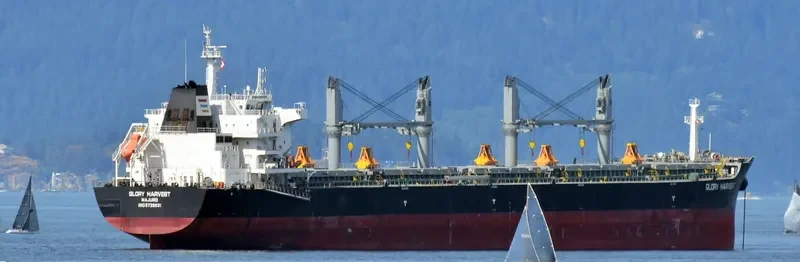 GLORY HARVEST Bulk Carrier IMO 9729831 photo 4