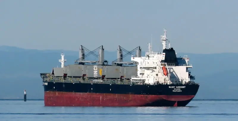 GLORY HARVEST Bulk Carrier IMO 9729831 photo 6