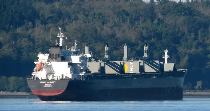 GLORY HARVEST Bulk Carrier IMO 9729831 photo 7