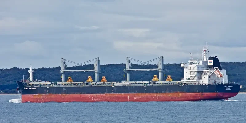 GLORY HARVEST Bulk Carrier IMO 9729831 photo 8