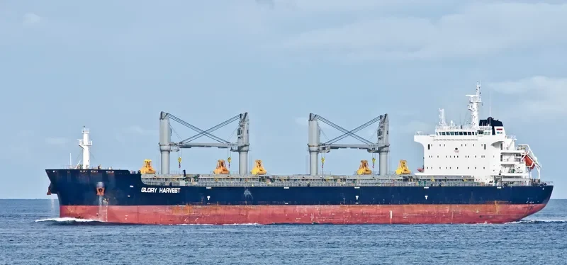 GLORY HARVEST Bulk Carrier IMO 9729831 photo 9