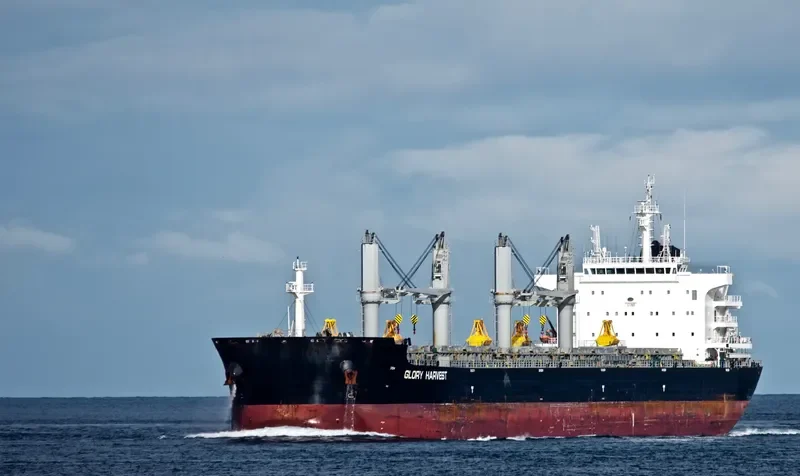 GLORY HARVEST Bulk Carrier IMO 9729831 photo 10