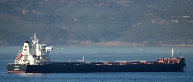 AIANTAS Bulk Carrier IMO 9729879