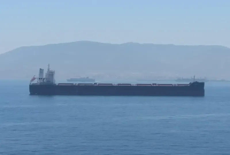 AIANTAS Bulk Carrier IMO 9729879 photo 2