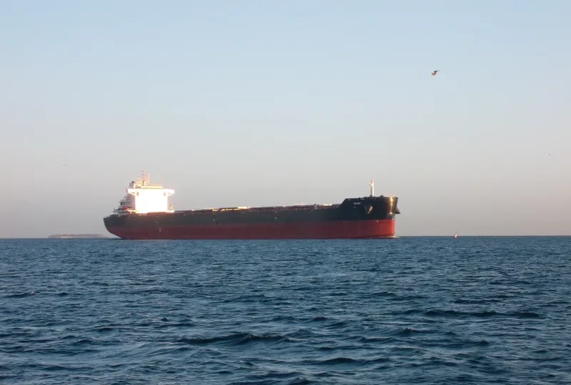 DIONE Bulk Carrier IMO 9729881