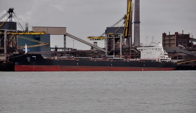 DIONE Bulk Carrier IMO 9729881 photo 4