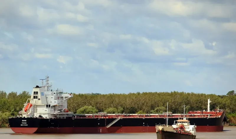 DIONE Bulk Carrier IMO 9729881 photo 5