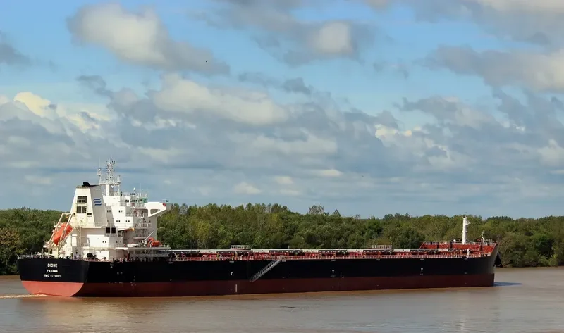 DIONE Bulk Carrier IMO 9729881 photo 6