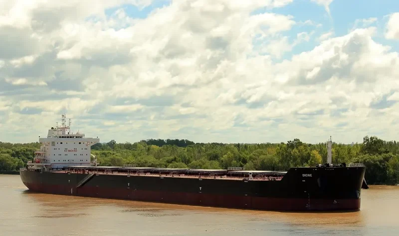 DIONE Bulk Carrier IMO 9729881 photo 7