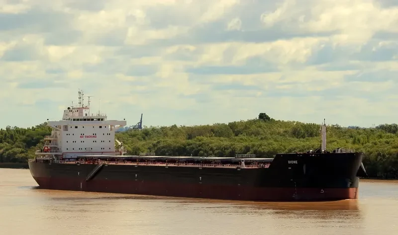DIONE Bulk Carrier IMO 9729881 photo 8