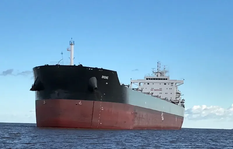 DIONE Bulk Carrier IMO 9729881 photo 9