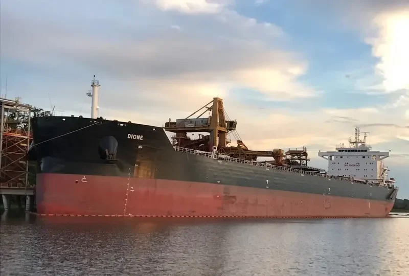 DIONE Bulk Carrier IMO 9729881 photo 10