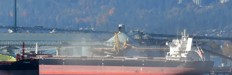 ASTERION Bulk Carrier IMO 9729908