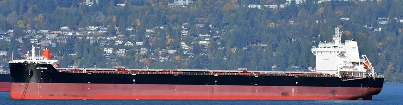 ASTERION Bulk Carrier IMO 9729908 photo 2