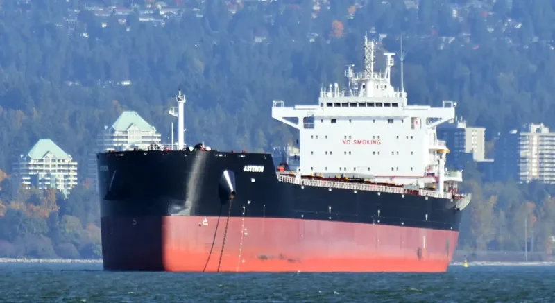 ASTERION Bulk Carrier IMO 9729908 photo 3