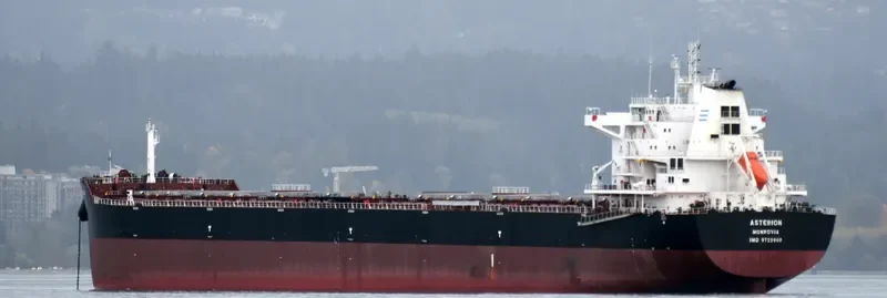 ASTERION Bulk Carrier IMO 9729908 photo 4