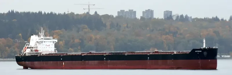 ASTERION Bulk Carrier IMO 9729908 photo 5
