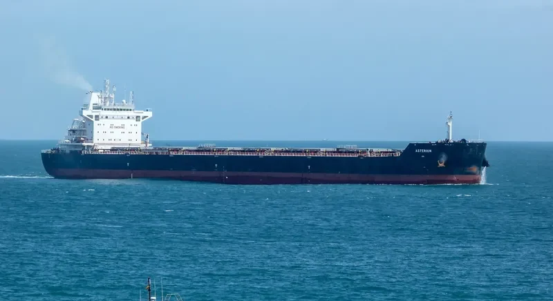 ASTERION Bulk Carrier IMO 9729908 photo 8