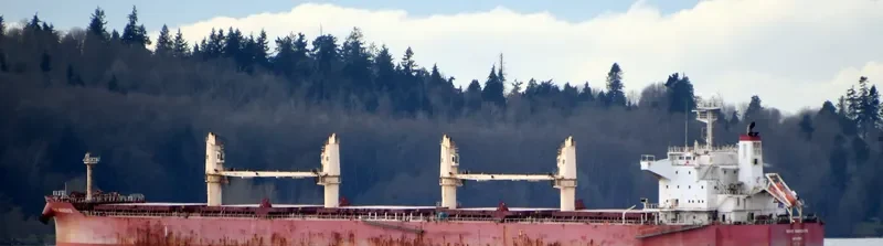 SOHO MANDATE Bulk Carrier IMO 9729910 photo 5