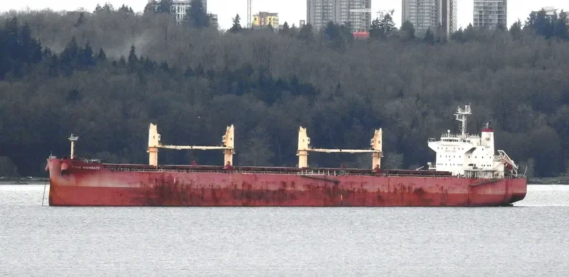 SOHO MANDATE Bulk Carrier IMO 9729910 photo 6