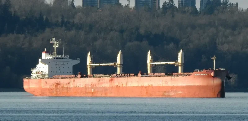 SOHO MANDATE Bulk Carrier IMO 9729910 photo 7