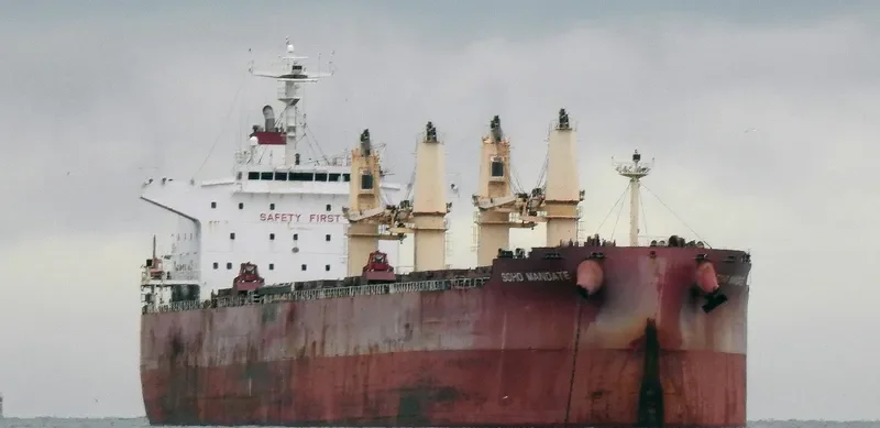 SOHO MANDATE Bulk Carrier IMO 9729910 photo 8