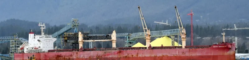 SOHO MANDATE Bulk Carrier IMO 9729910 photo 9