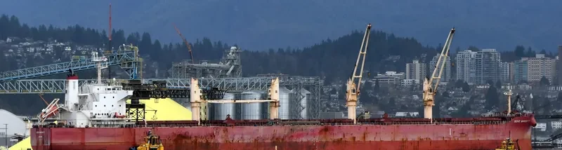 SOHO MANDATE Bulk Carrier IMO 9729910 photo 10