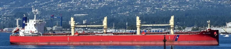 NAVIGARE BOREAS Bulk Carrier IMO 9729922