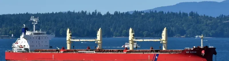 NAVIGARE BOREAS Bulk Carrier IMO 9729922 photo 2