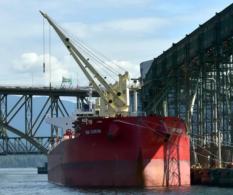 NAVIGARE BOREAS Bulk Carrier IMO 9729922 photo 3
