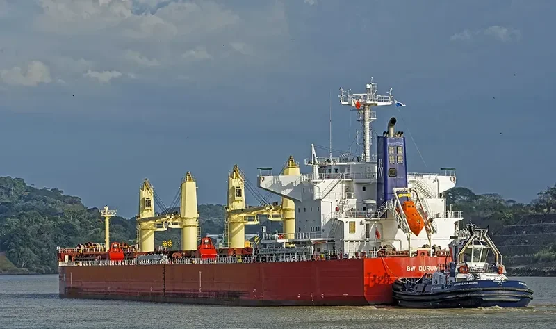 NAVIGARE BOREAS Bulk Carrier IMO 9729922 photo 5