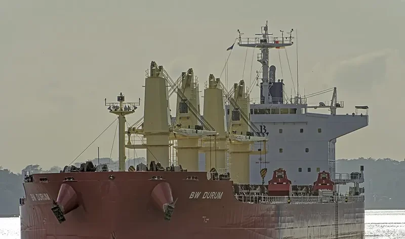 NAVIGARE BOREAS Bulk Carrier IMO 9729922 photo 7