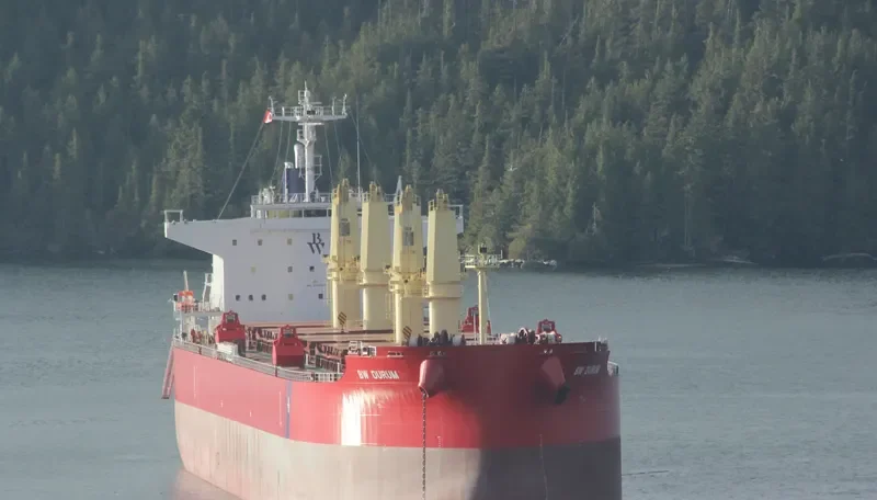 NAVIGARE BOREAS Bulk Carrier IMO 9729922 photo 8