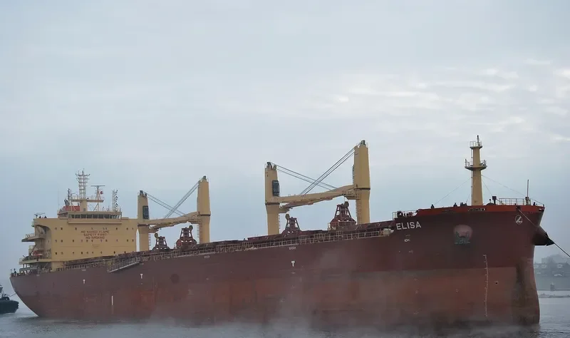 ELISA Bulk Carrier IMO 9730232