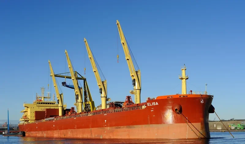 ELISA Bulk Carrier IMO 9730232 photo 2