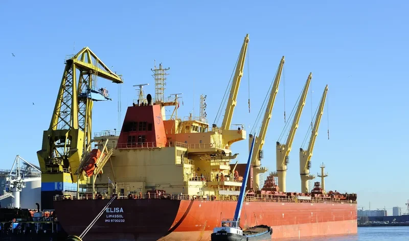 ELISA Bulk Carrier IMO 9730232 photo 3