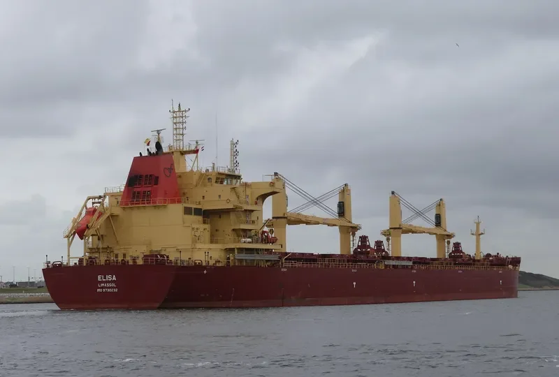 ELISA Bulk Carrier IMO 9730232 photo 4