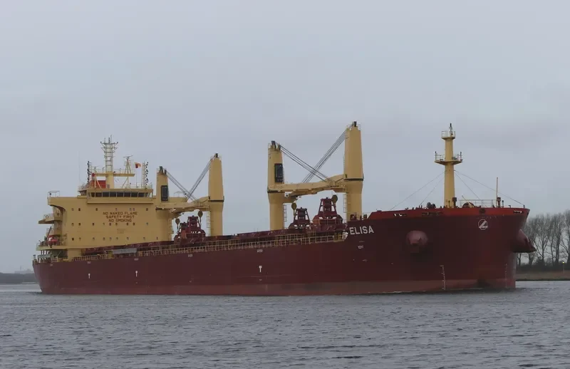 ELISA Bulk Carrier IMO 9730232 photo 5