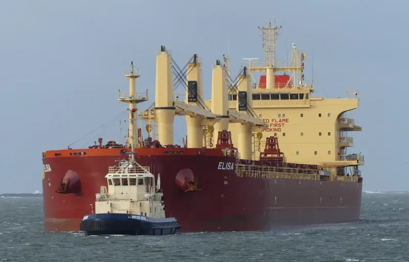 ELISA Bulk Carrier IMO 9730232 photo 6