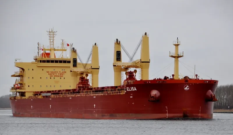 ELISA Bulk Carrier IMO 9730232 photo 7