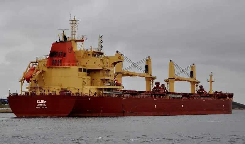 ELISA Bulk Carrier IMO 9730232 photo 8