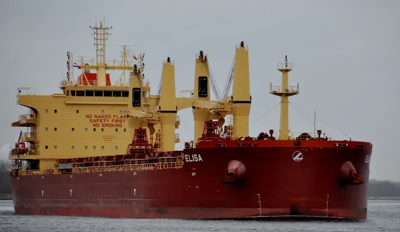 ELISA Bulk Carrier IMO 9730232 photo 9