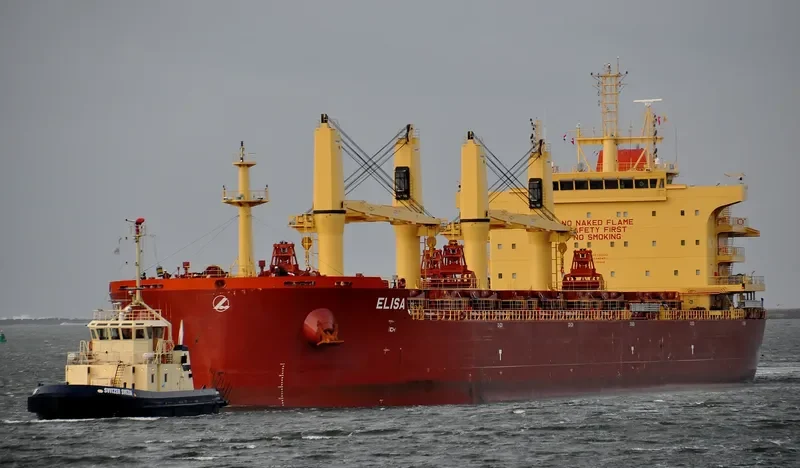 ELISA Bulk Carrier IMO 9730232 photo 10