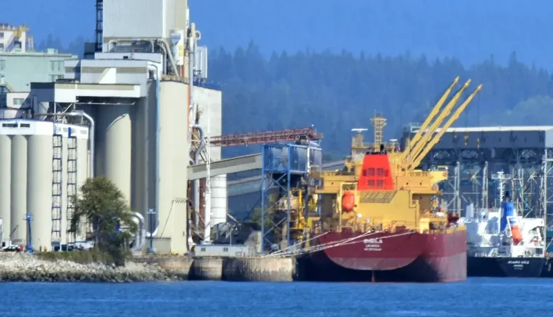 SHEILA Bulk Carrier IMO 9730244 photo 8