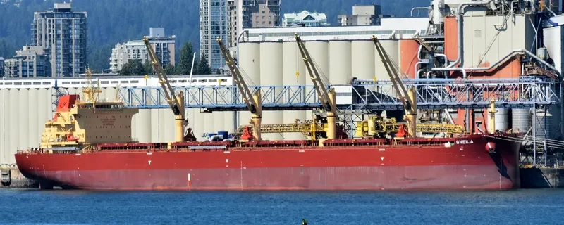 SHEILA Bulk Carrier IMO 9730244 photo 9